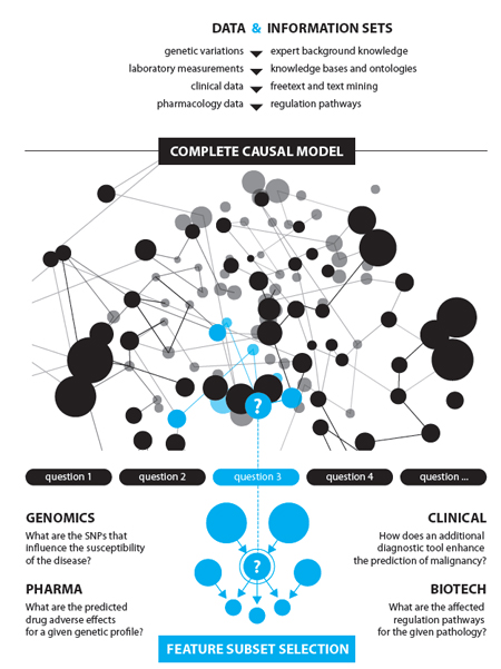 Causal Bayesian Networks!